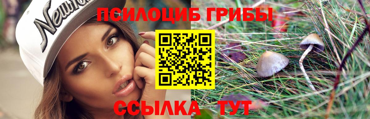 ЭКСТАЗИ  МЕФ кристаллы  Вход с VPN  Наркошоп  Бузулук  Каннабис  COCAIN  АМФЕТАМИН кристаллы  ГАШИШ 