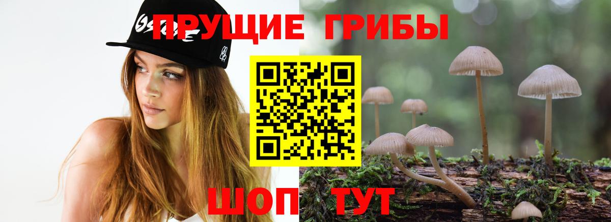 Галлюциногенные грибы Cubensis  Вход с VPN  Псилоцибиновые грибы Magic Shrooms  Бузулук 